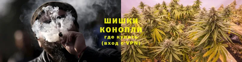 даркнет сайт  Тосно  Шишки марихуана Ganja 